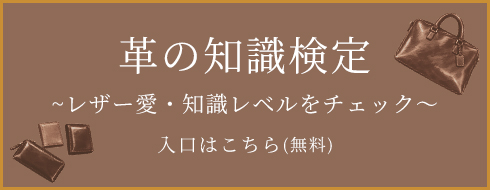 革の知識検定